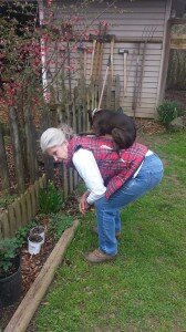 Big Gay does not find Bunny's perching trick funny.