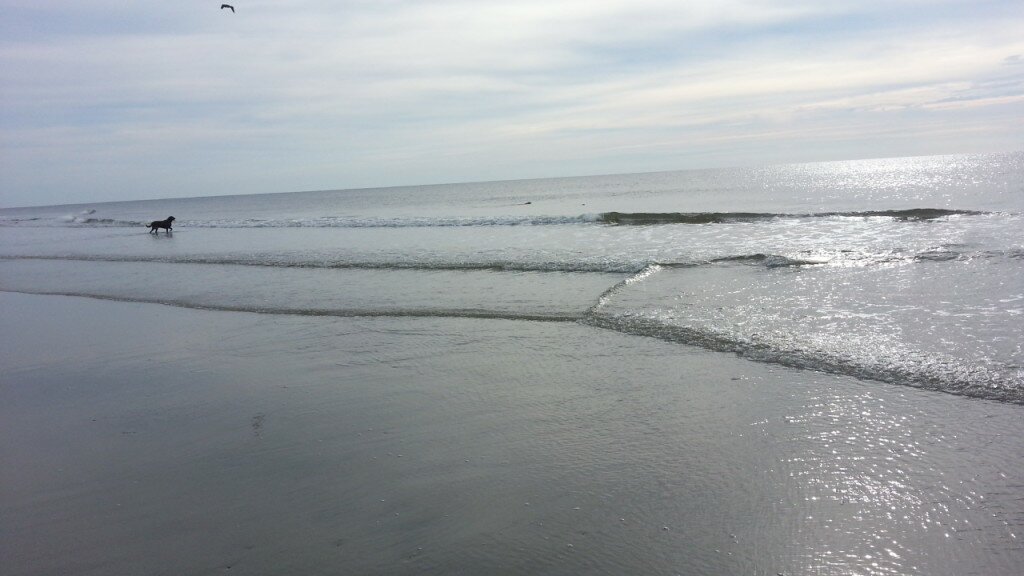 Sunday Morning on St. Simon's Island